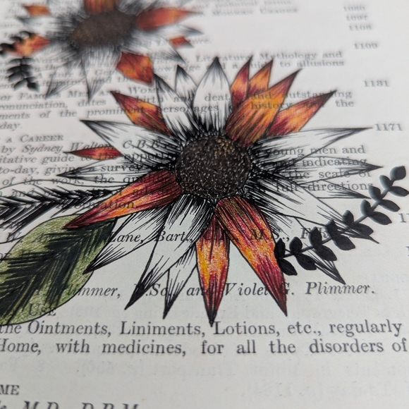 About Inspiration Boreal - Picture 7 of 16